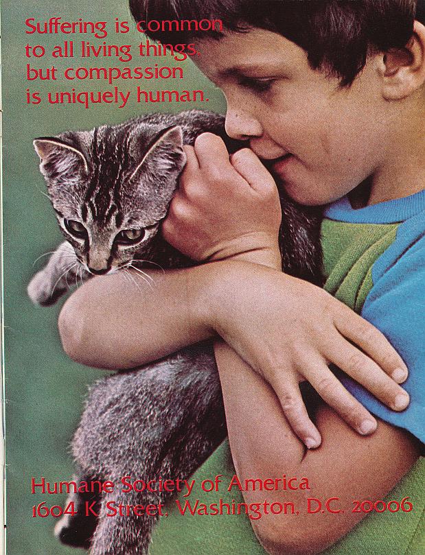 And It Is Divine magazine