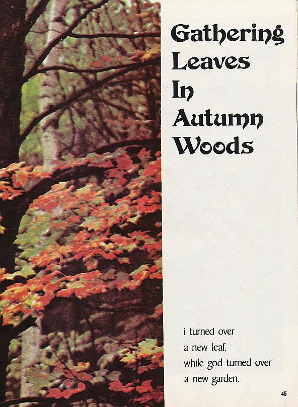 And It Is Divine magazine