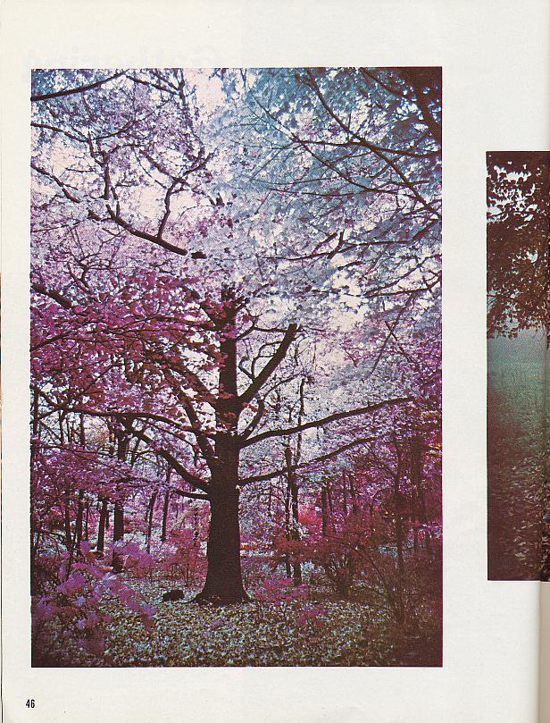 And It Is Divine magazine