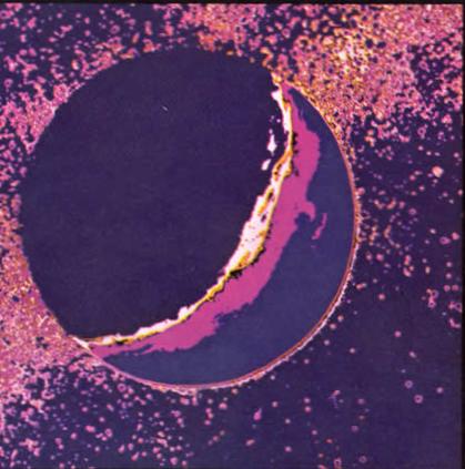 And It Is Divine magazine