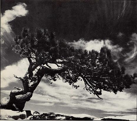 And It Is Divine magazine