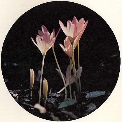 And It Is Divine magazine