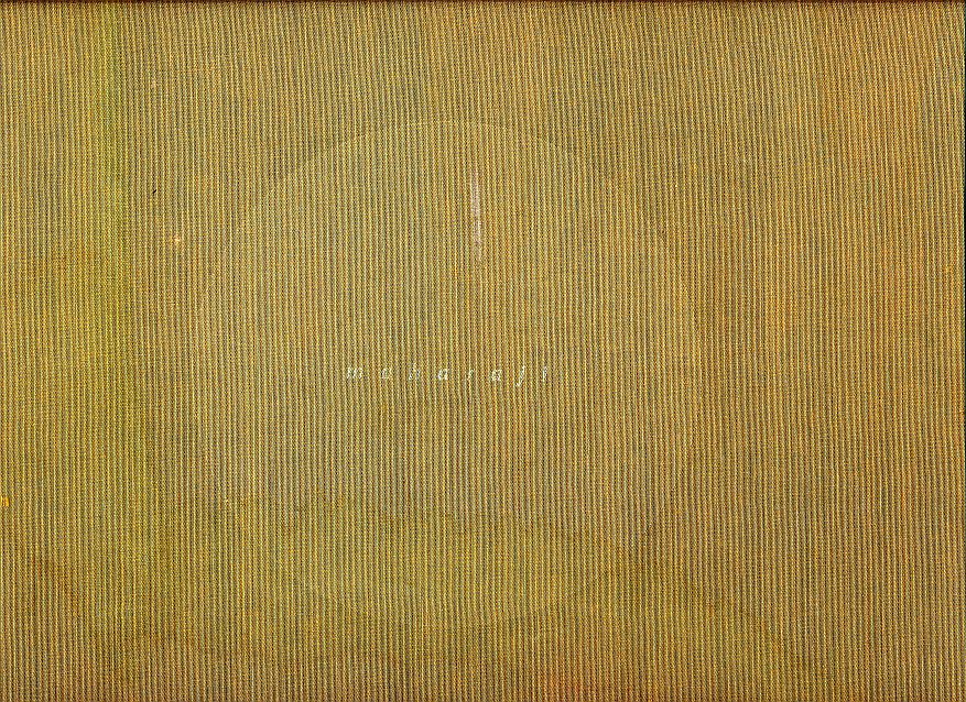 Maharaji Picture Book