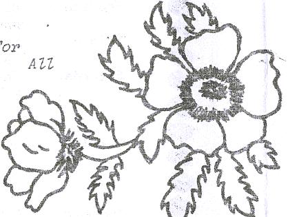 Brotherly Love newsletter