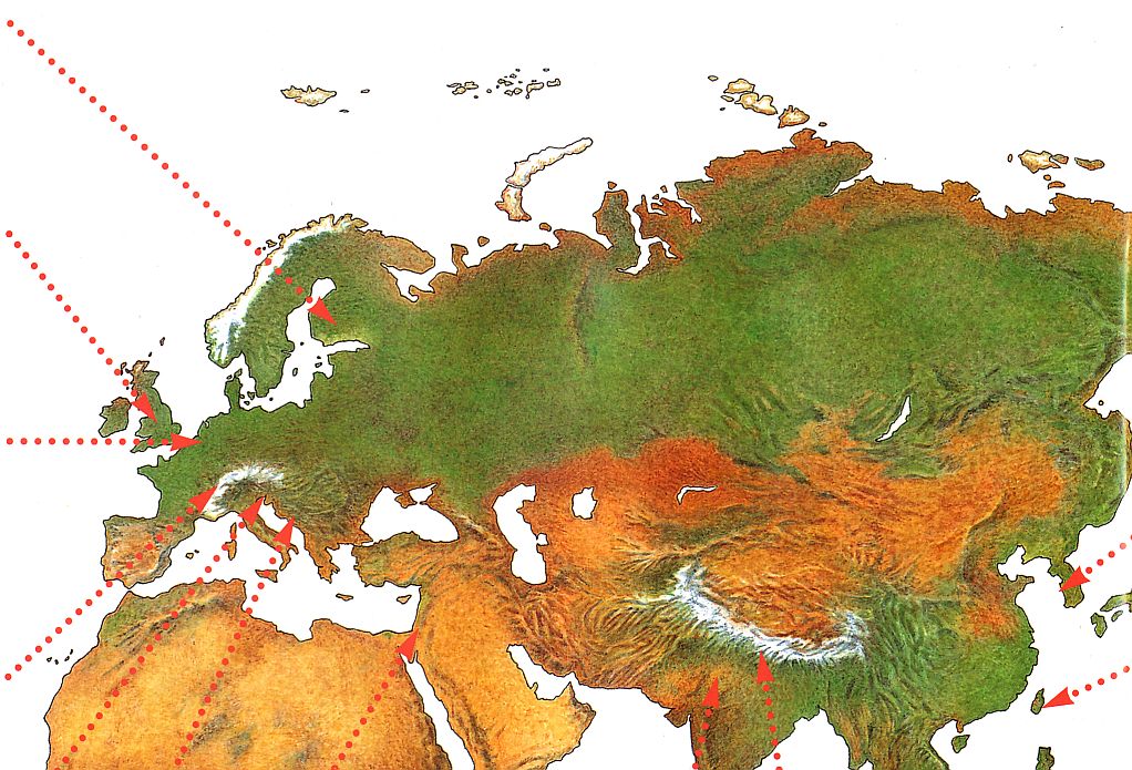 Connect 2000, &Eacute;lan Vital