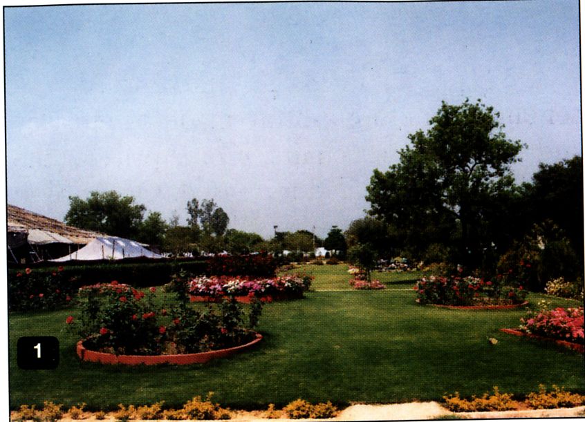 Connect 2000, &Eacute;lan Vital