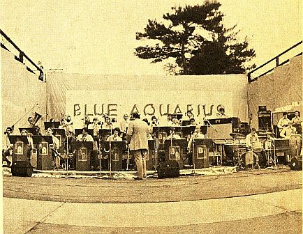 Blue Aquarius Rocks