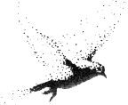 Flight
