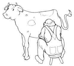 Milking