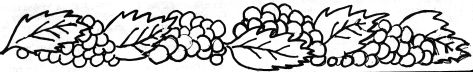 Fruit