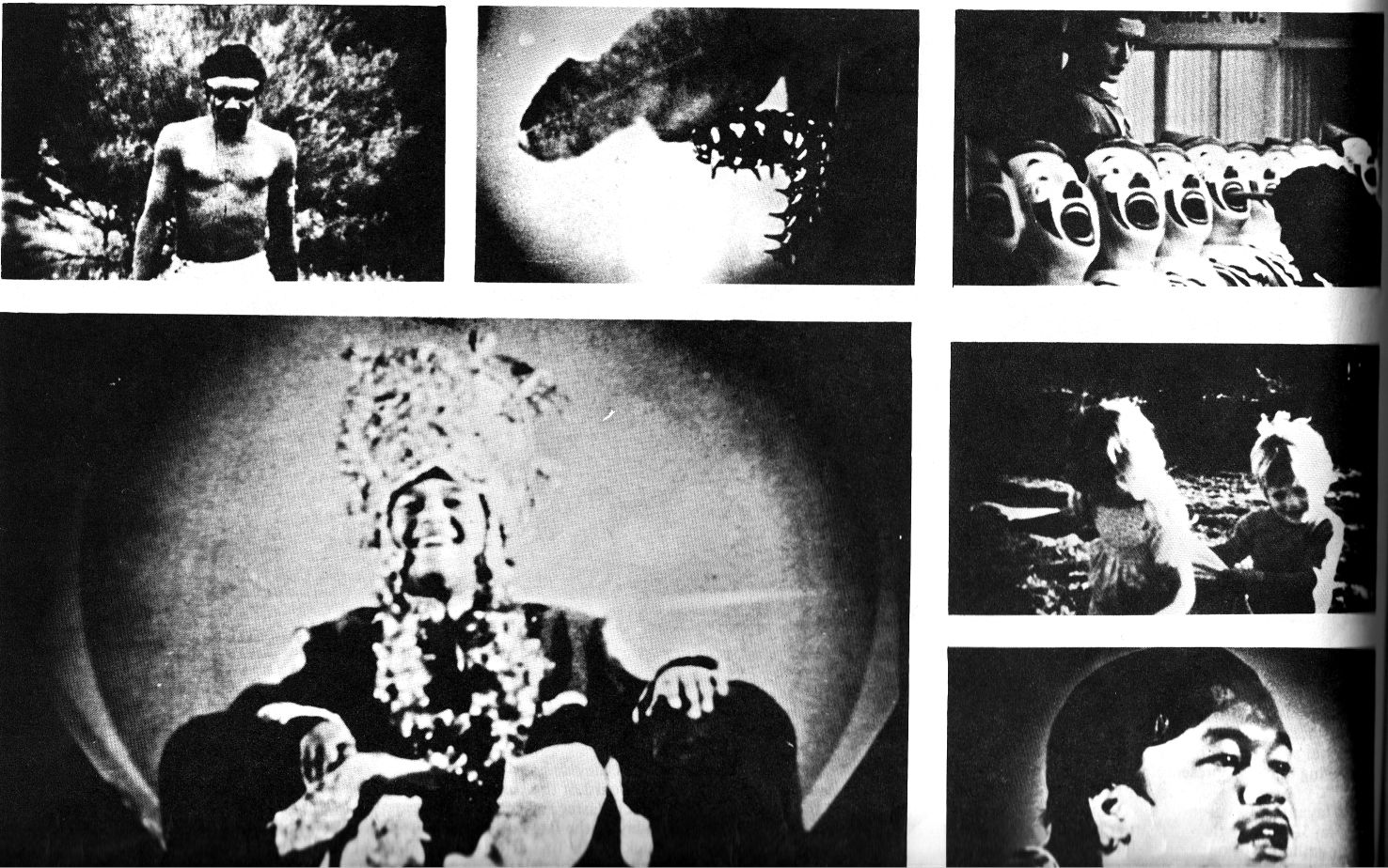 Kafka's Metamorphosis