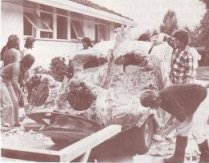 Golden Age Magazine About Prem Rawat aka Maharaji