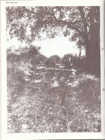 Golden Age Magazine About Prem Rawat (Maharaji)