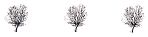 paratrees (1K)