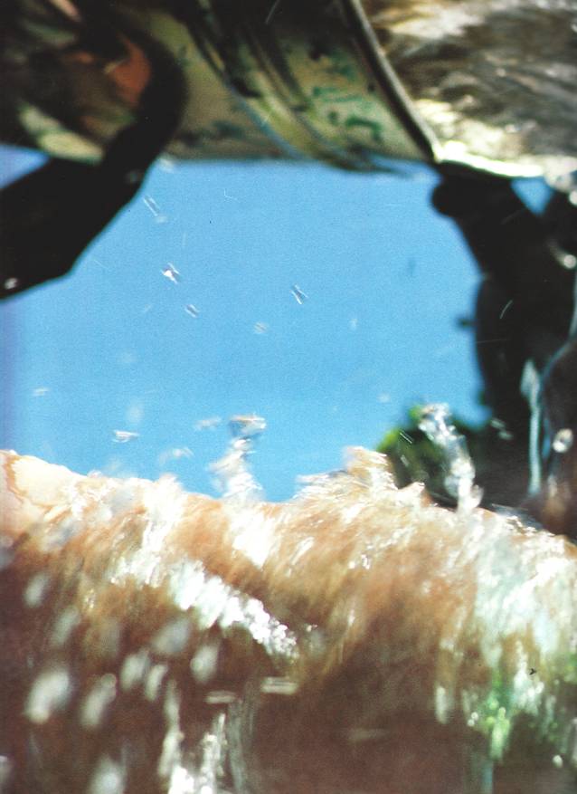 Prem Rawat Inspirational Speaker The Perfect Master at Holi '79 Getting Bucketed