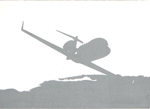 Prem Rawat's Learjet 55 Appreciation Card