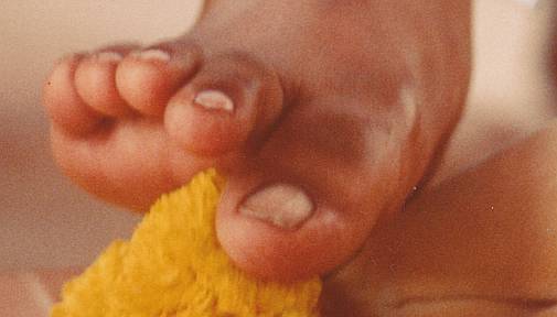 Prem Rawat's (Maharaji) Divine Lotus Feet