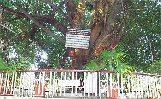 Prem Nagar 2011