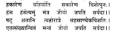 Hans Yog Prakash Book Cover