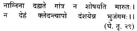 Hindi/Sanskrit Quote