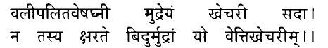 Hindi/Sanskrit Quote