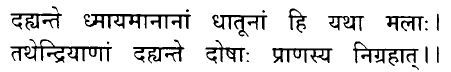 Hindi/Sanskrit Quote
