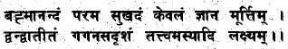 The Life of Shri Hans Ji Maharaj