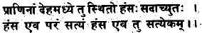 The Life of Shri Hans Ji Maharaj