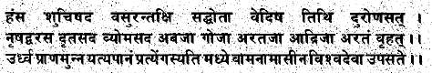 The Life of Shri Hans Ji Maharaj