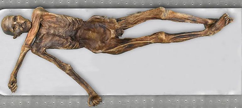 Maharaji aka Prem Rawat in Paris 1993