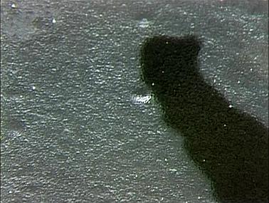 Maharaji Answers Questions, 2004