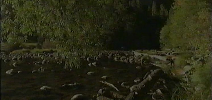 Maharaji: Madrid Aspirants, 1993