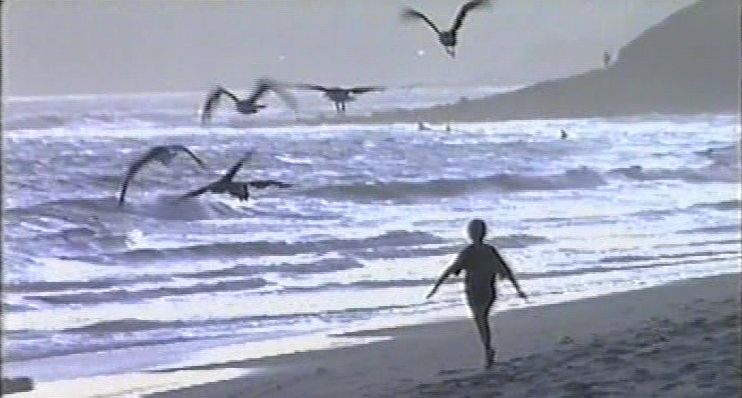 Maharaji: Madrid Aspirants, 1993