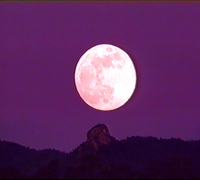 Maharaji: v2r 1998 Maharaji: v2r 1996