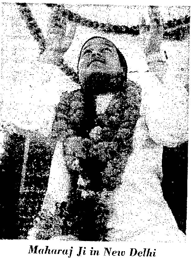 Chubby Cherub Hottest Guru