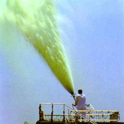 Maharaji aka Prem Rawat