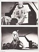 Maharaji's Teachings About being All-Powerful Maharaji's Teachings About being All-Powerful
