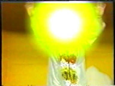 Golden Donut