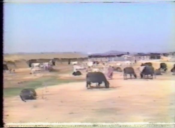 Prem Rawat aka Guru Maharaj Ji Calcutta 1984