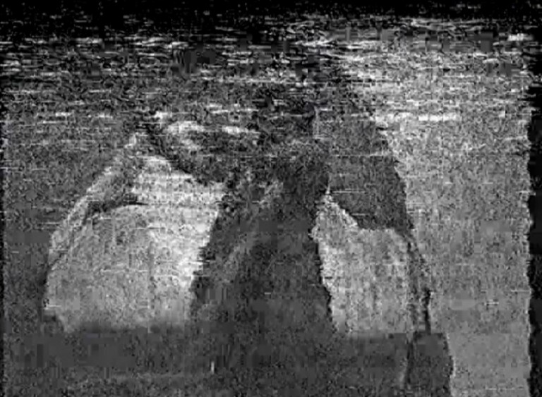 Prem Rawat Dancing As Krishna Prem Rawat Dancing As Krishna