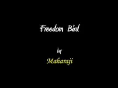 The Freedom Bird, A Poem by Prem Rawat - Aviator